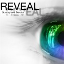 The Weekly Reveal