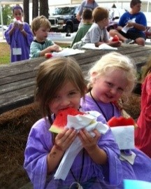 VBS 2011