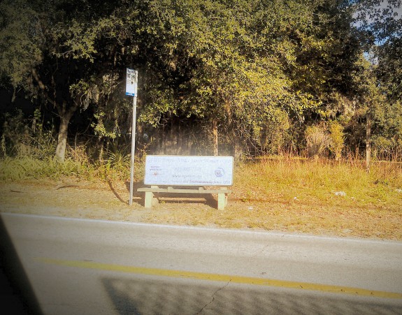 Here it is! Our second Destiny $20 is hid under this bus stop bench on 78th St. in Temple Terrace! Anybody found it yet? Haven't heard from you! Hid 1/07/12. Found ?????