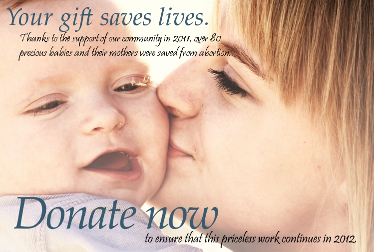 Click here to donate! Photo credit to D Sharon Pruitt, used under creative commons license