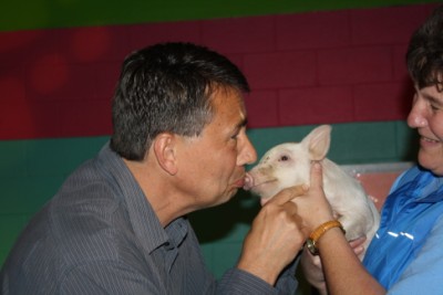 Kissing a pig for 