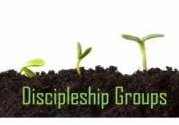 D-Groups (discipleship)