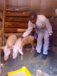 Malawi Pig Project - 2021